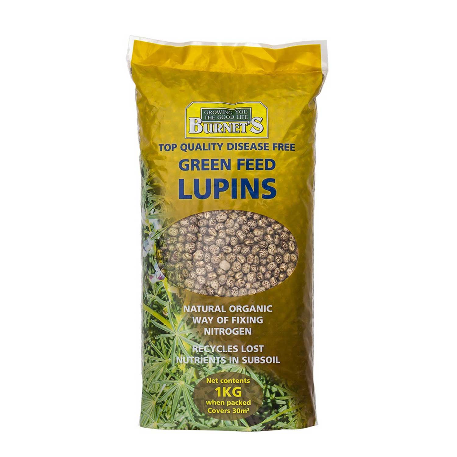 Green Feed Lupins – Burnet's Lawn and Garden