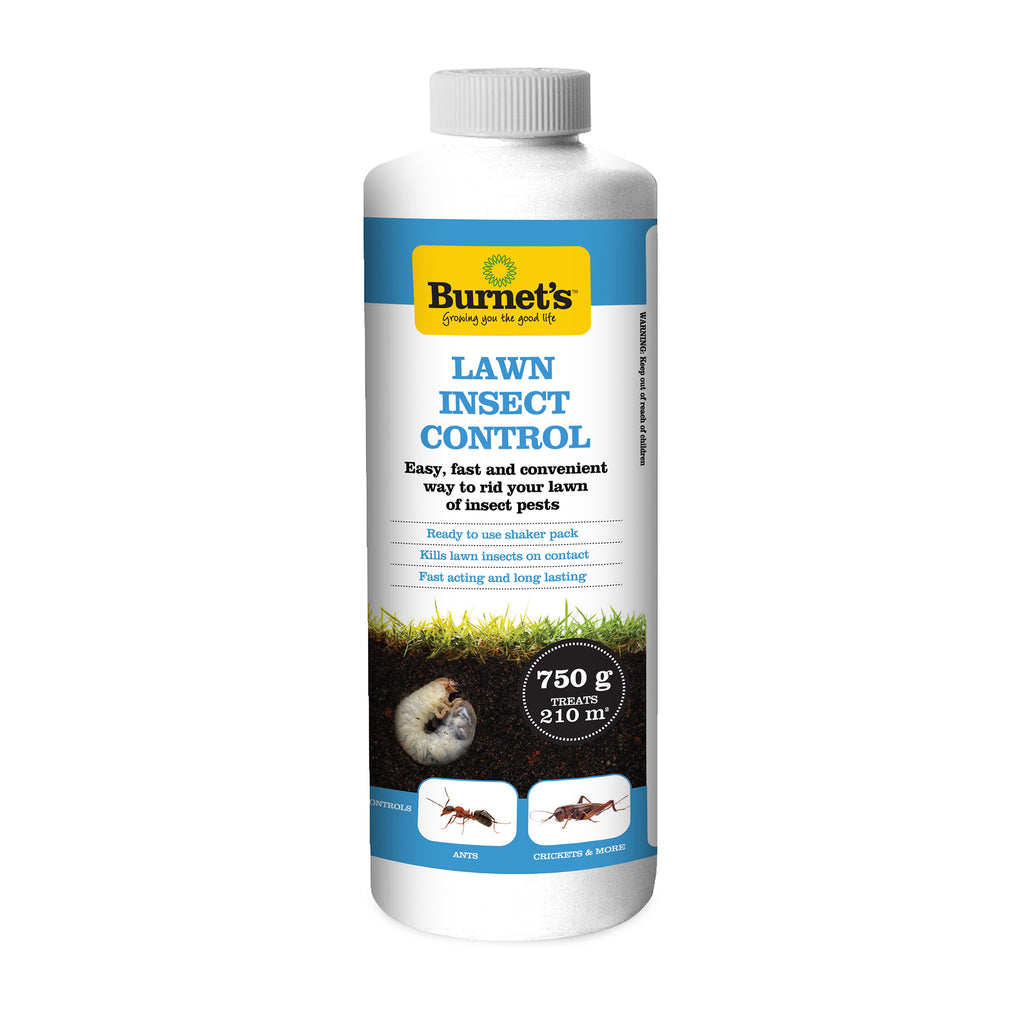 Lawn Insect Control – Burnet's Lawn and Garden